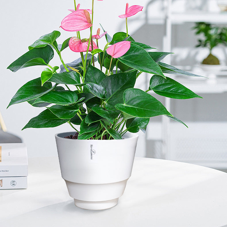 Textured Plastic Planter