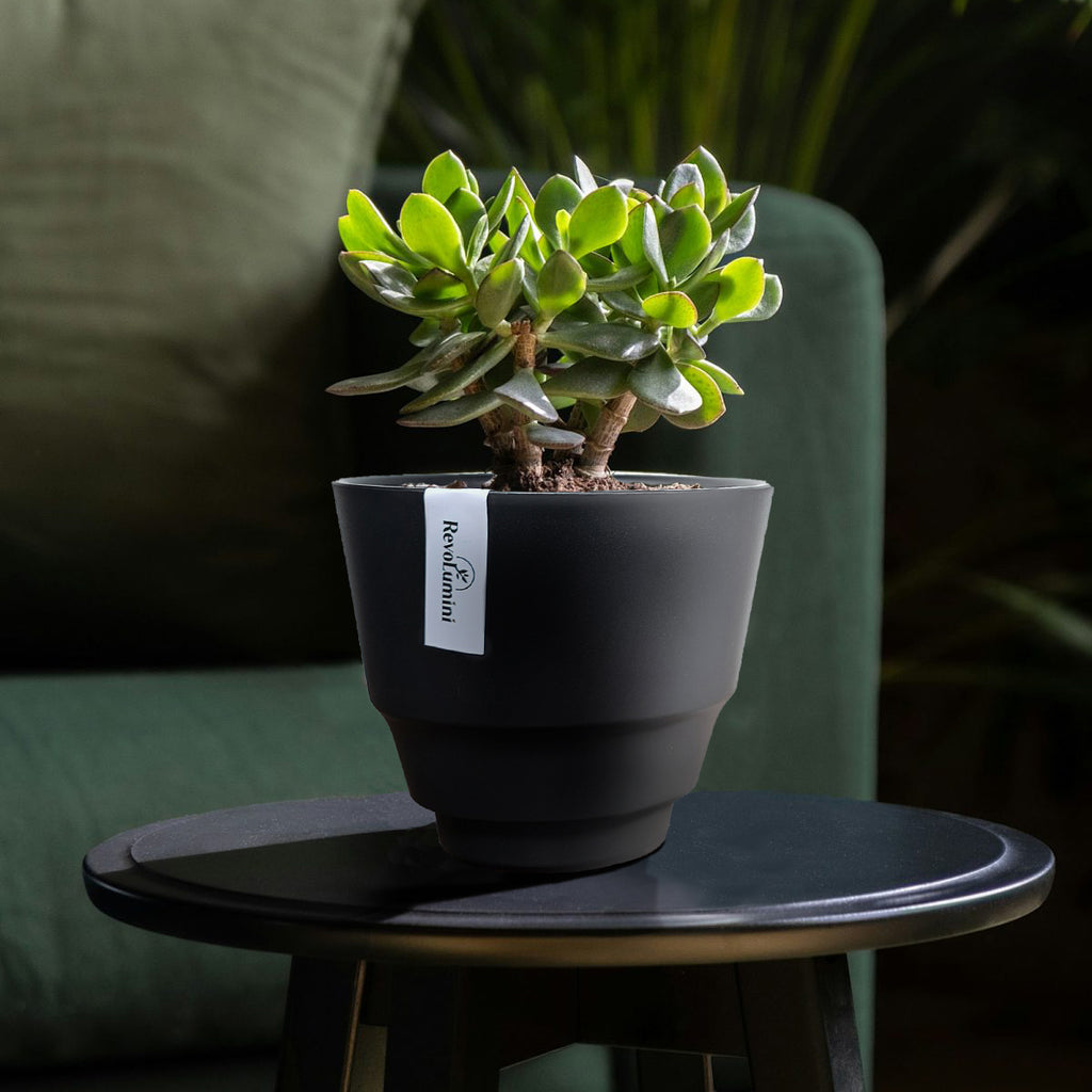 Textured Plastic Planter