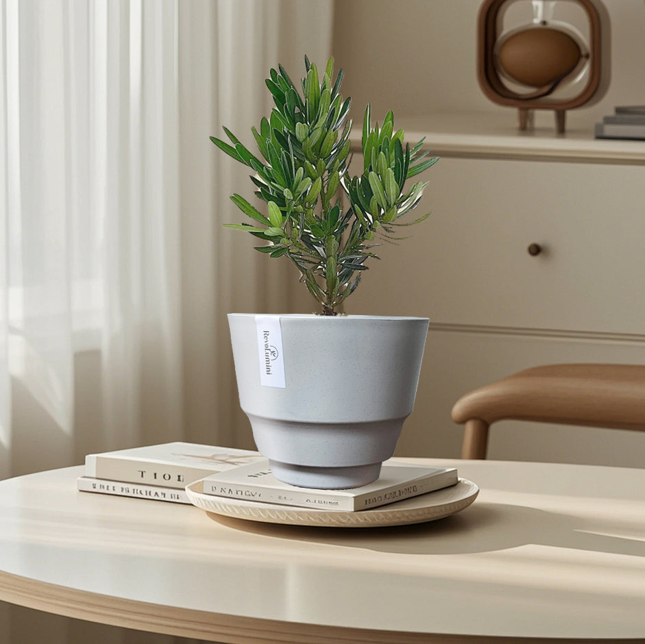 Textured Plastic Planter