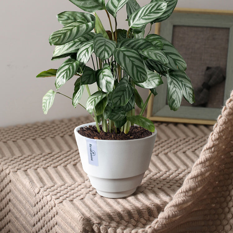 Textured Plastic Planter