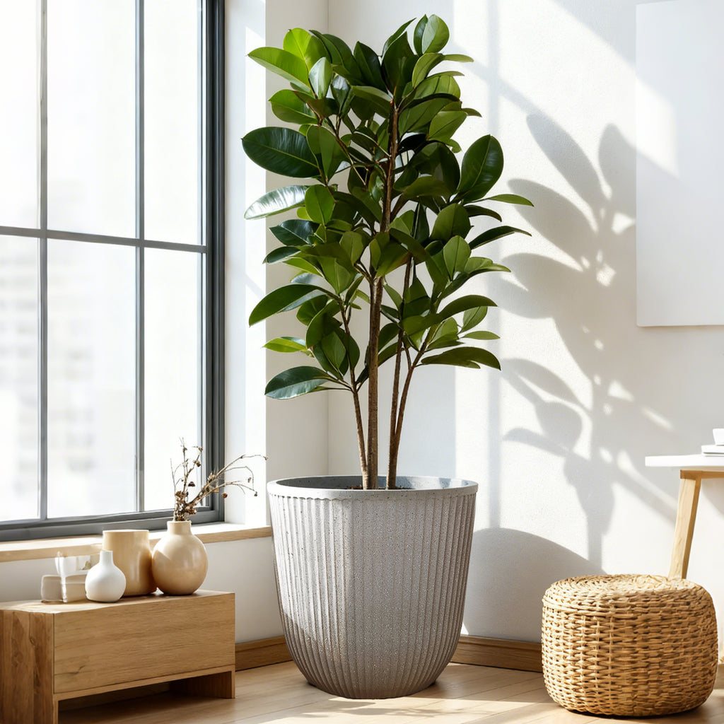 Standing Ribbed Composite Planter with Scalloped Edge