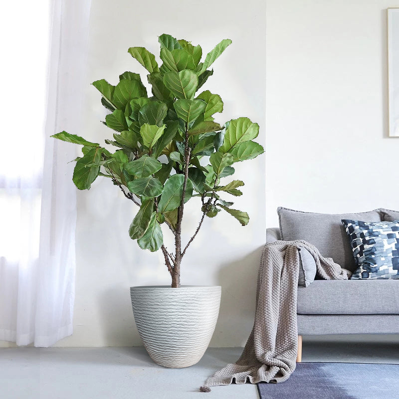 Large Floor-Standing Textured Composite Planter