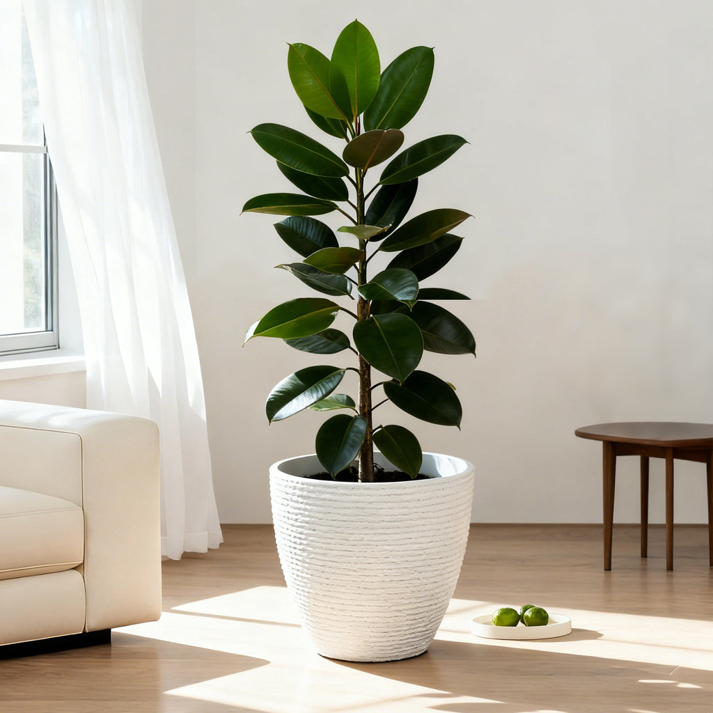 Large Floor-Standing Textured Composite Planter