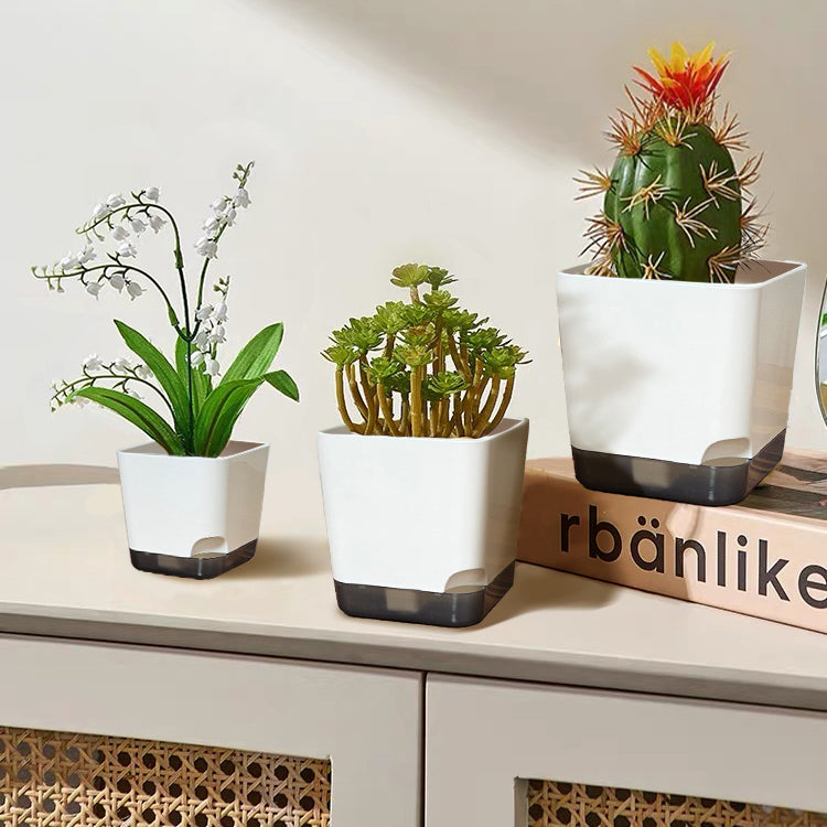 Square Plastic  Planter