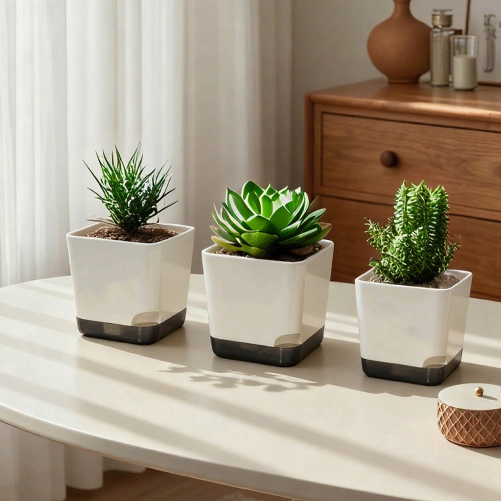 Square Plastic  Planter