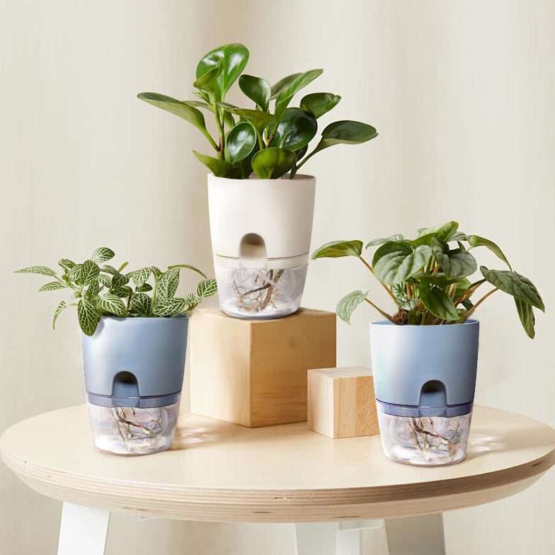 Self-Watering Resin Planter for Hydroponic Plants