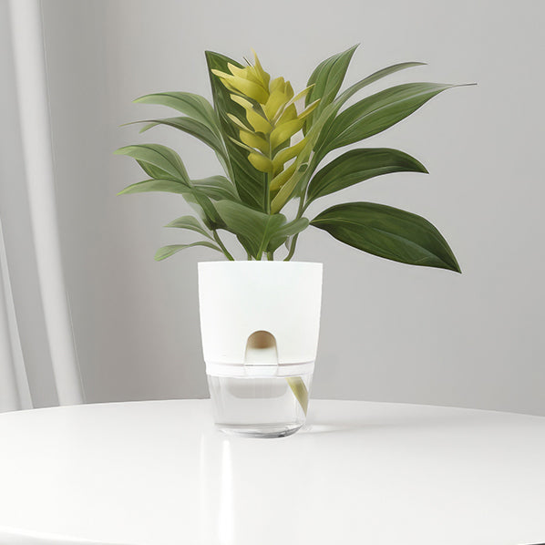 Self-Watering Resin Planter for Hydroponic Plants