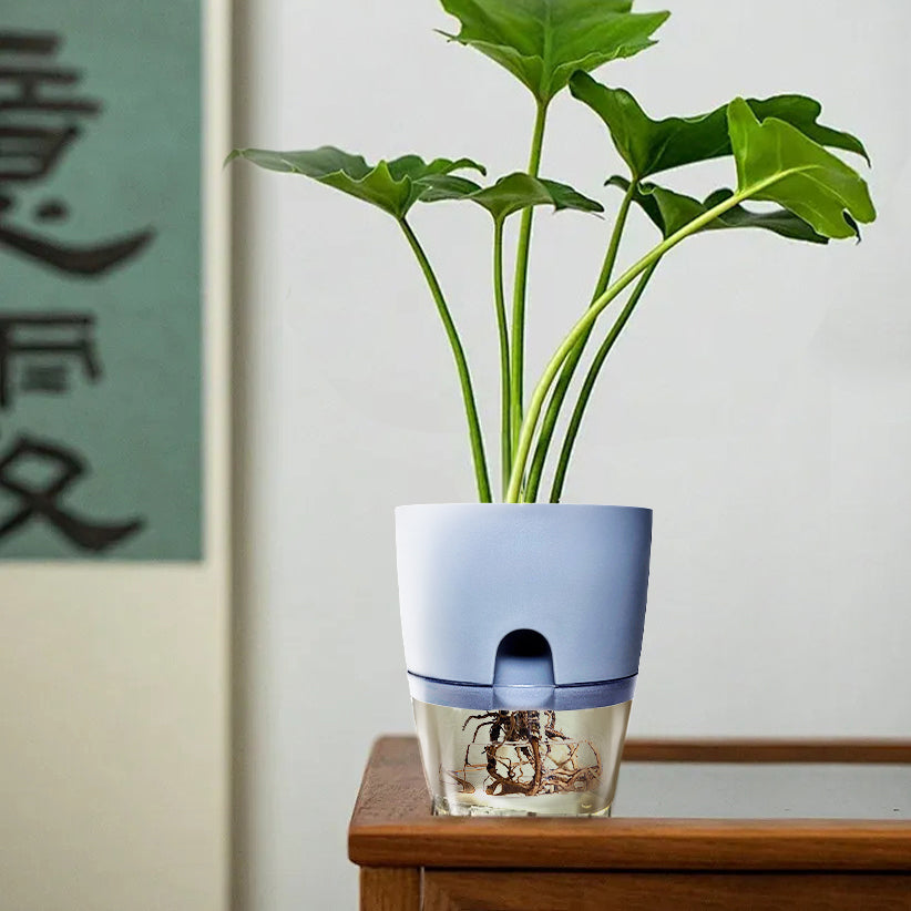 Self-Watering Resin Planter for Hydroponic Plants