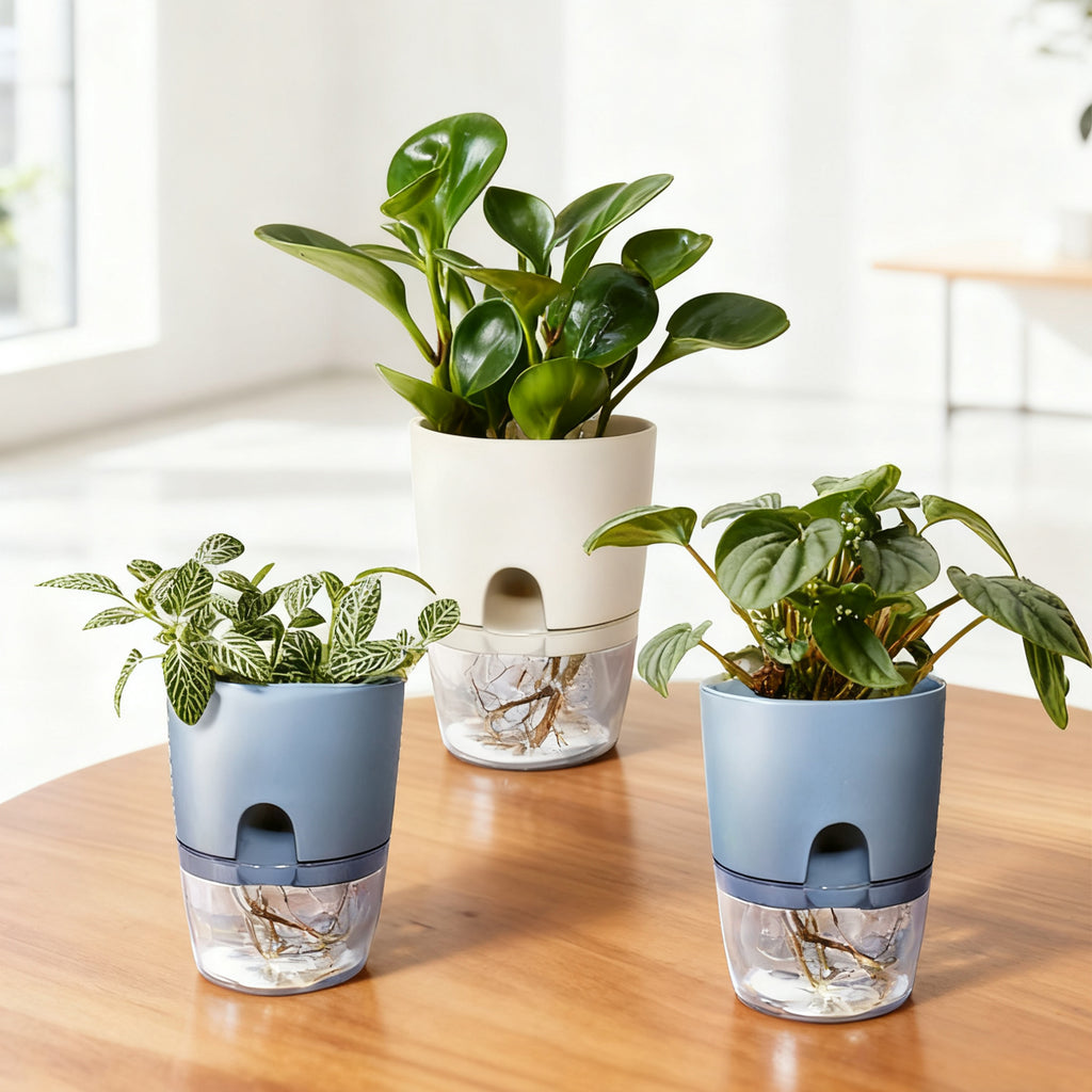 Self-Watering Resin Planter for Hydroponic Plants