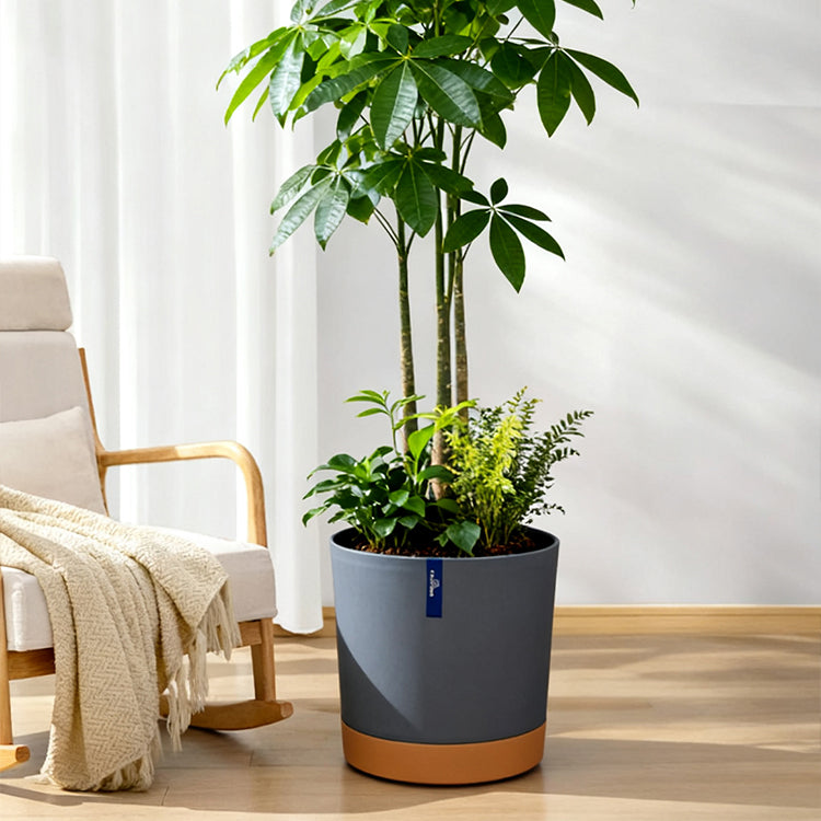 Two-Tone Resin Planter