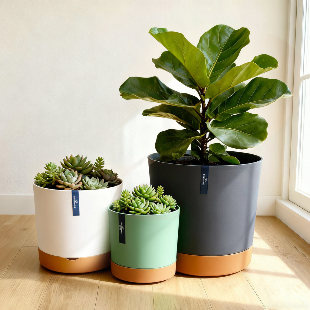 Two-Tone Resin Planter