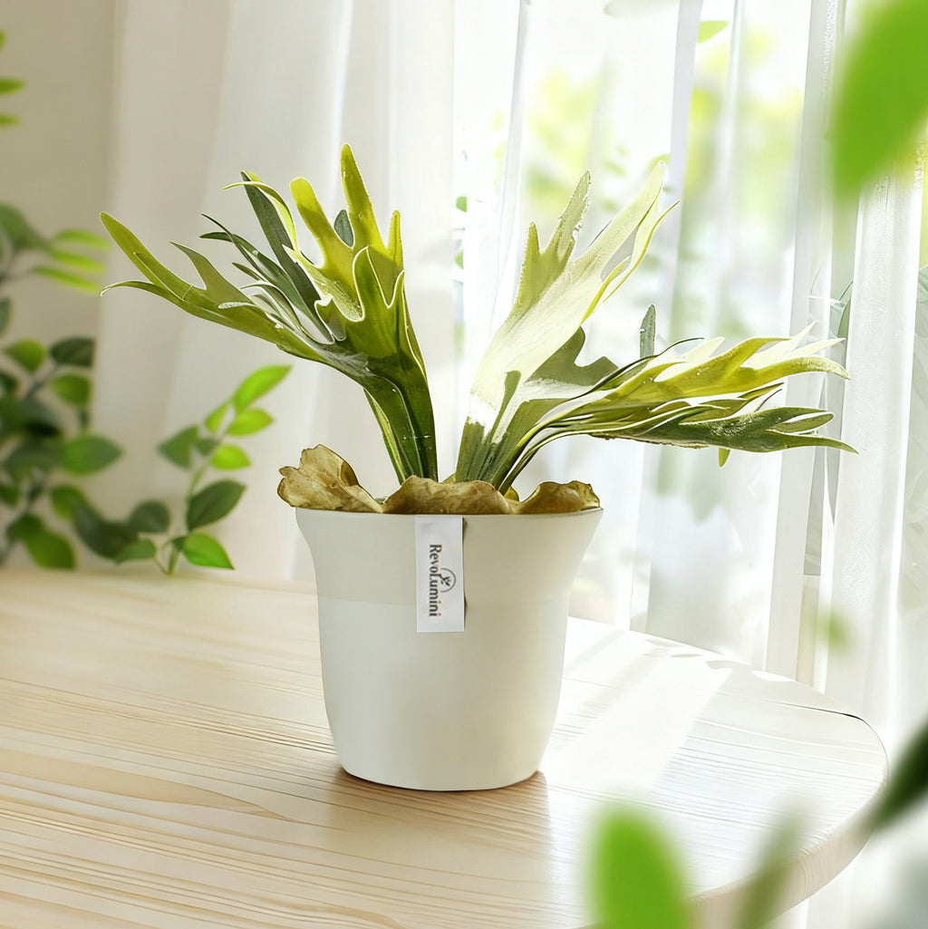 Minimalist Composite Plastic Planter Pot