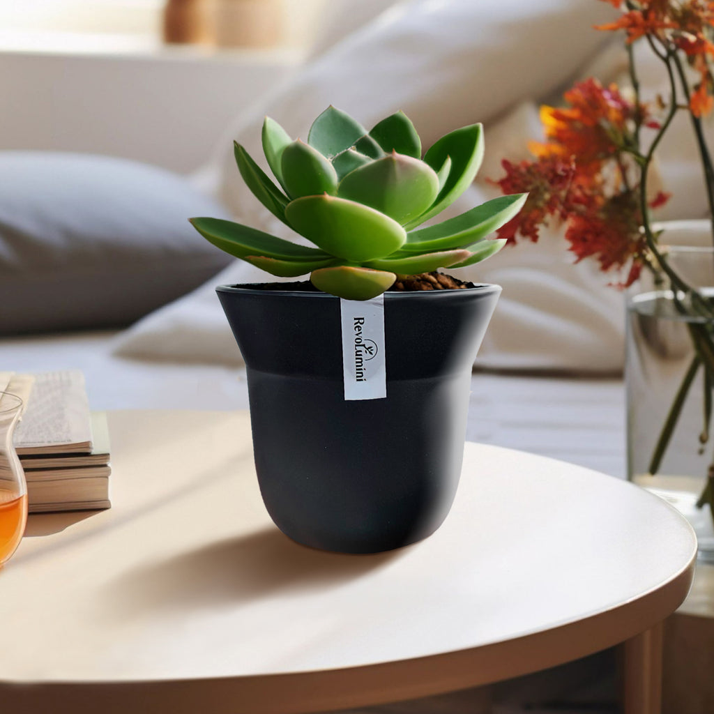 Minimalist Composite Plastic Planter Pot