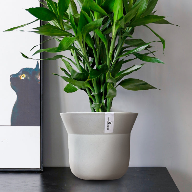 Minimalist Composite Plastic Planter Pot