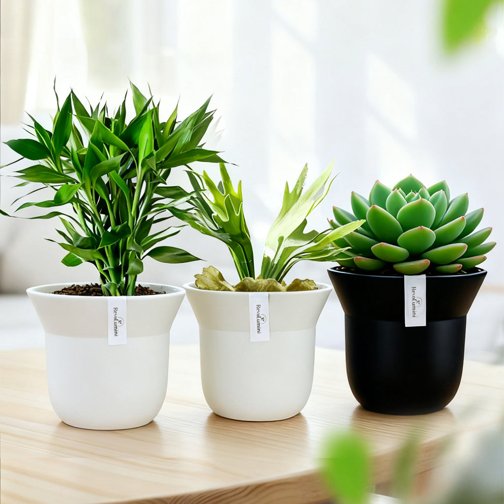 Minimalist Composite Plastic Planter Pot