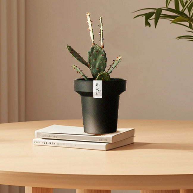 Minimalist Composite Plastic Plant Pot