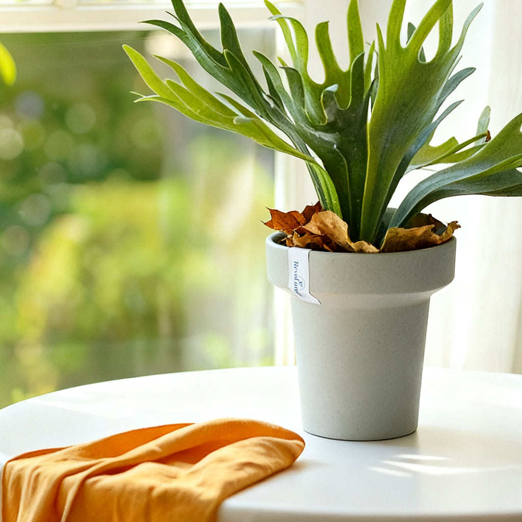 Minimalist Composite Plastic Plant Pot