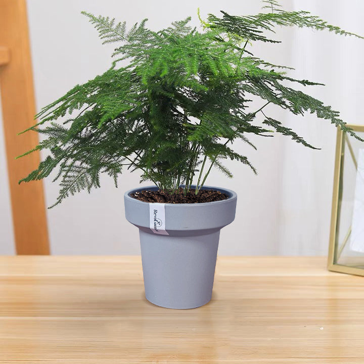 Minimalist Composite Plastic Plant Pot