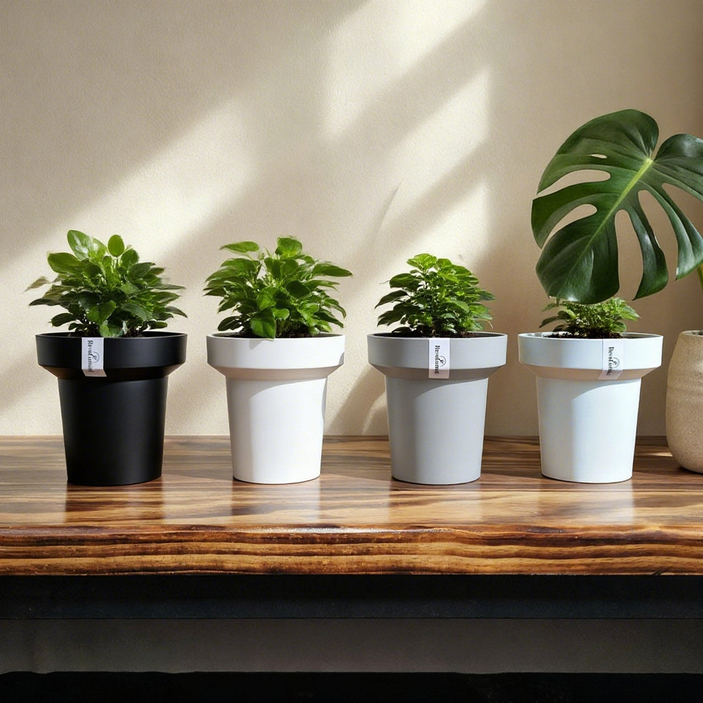 Minimalist Composite Plastic Plant Pot