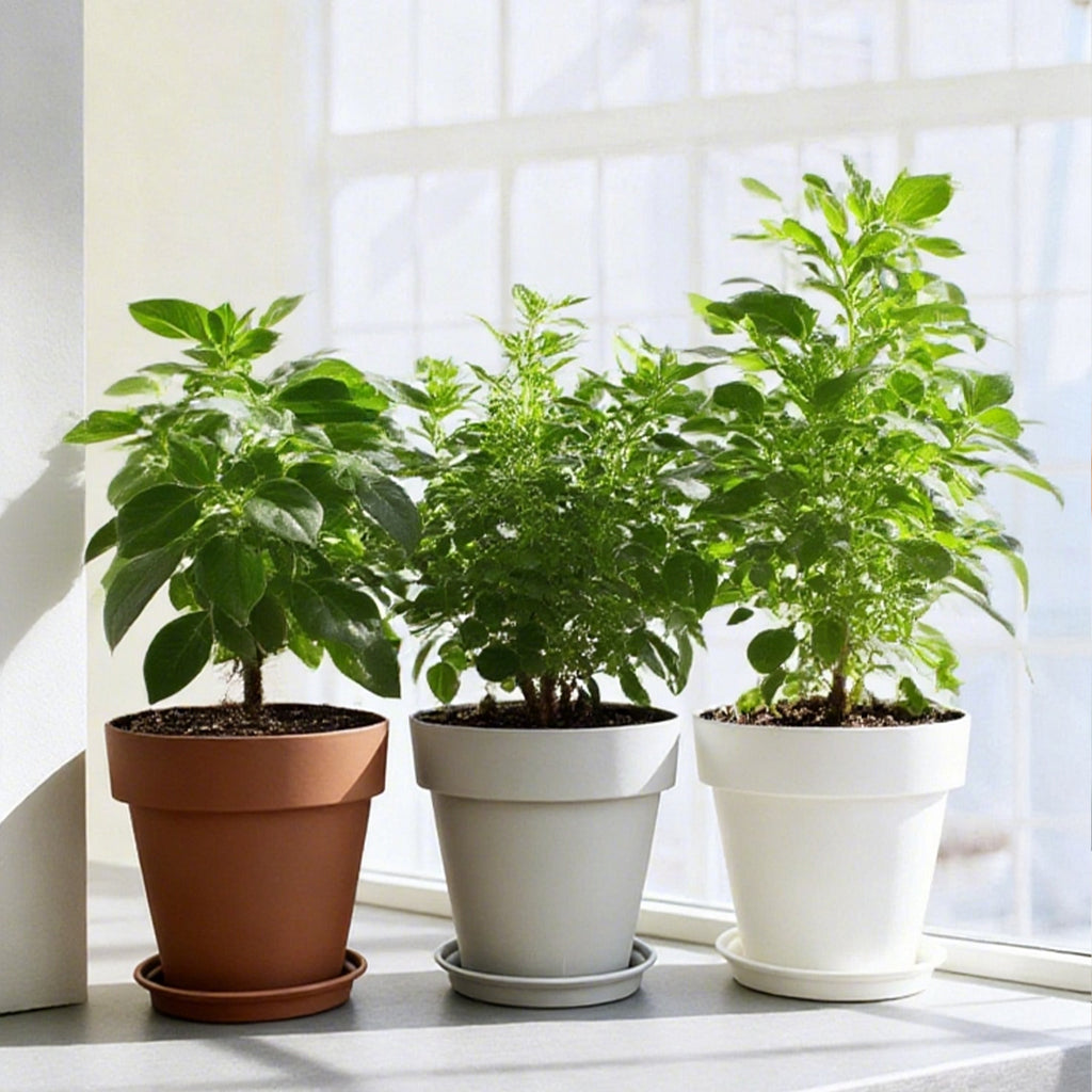 Modern Resin Plant Pot with Saucer