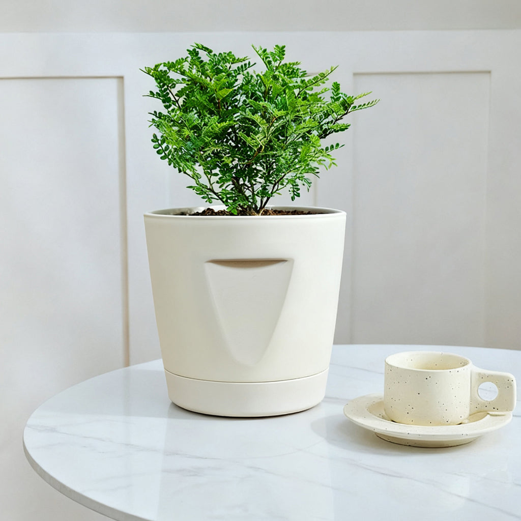 Multi-Size Plastic Plant Pot