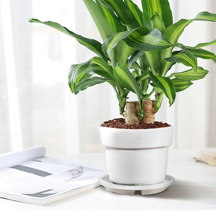 Textured Composite Planter with Saucer