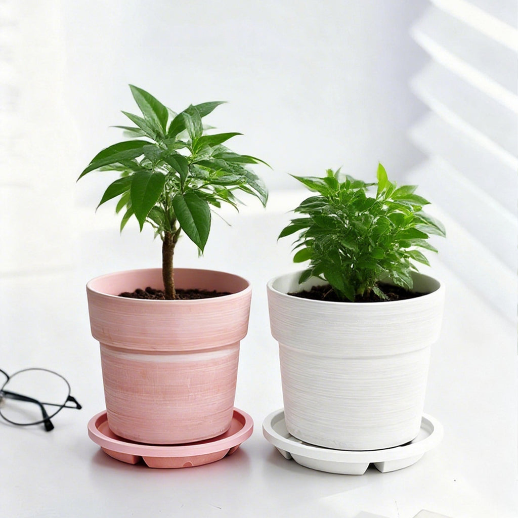 Textured Composite Planter with Saucer