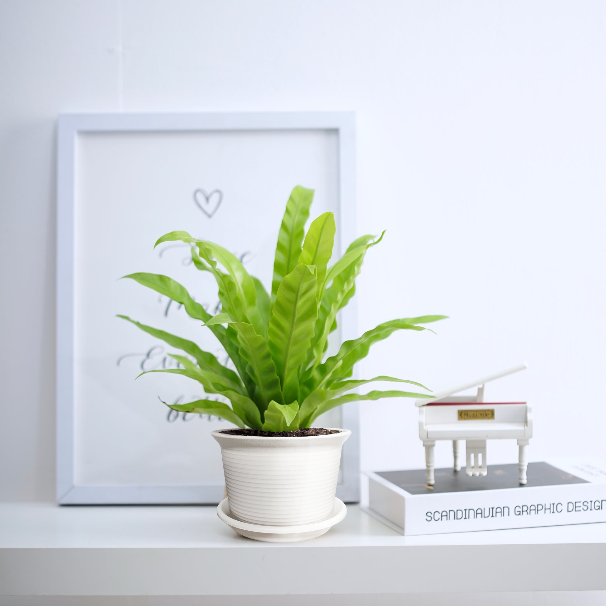 Textured Resin Planter with Saucer