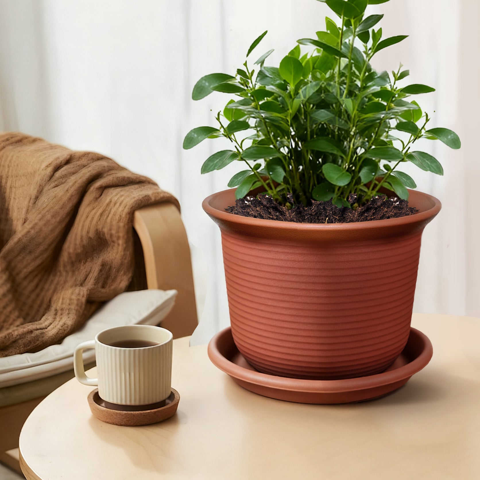 Textured Resin Planter with Saucer
