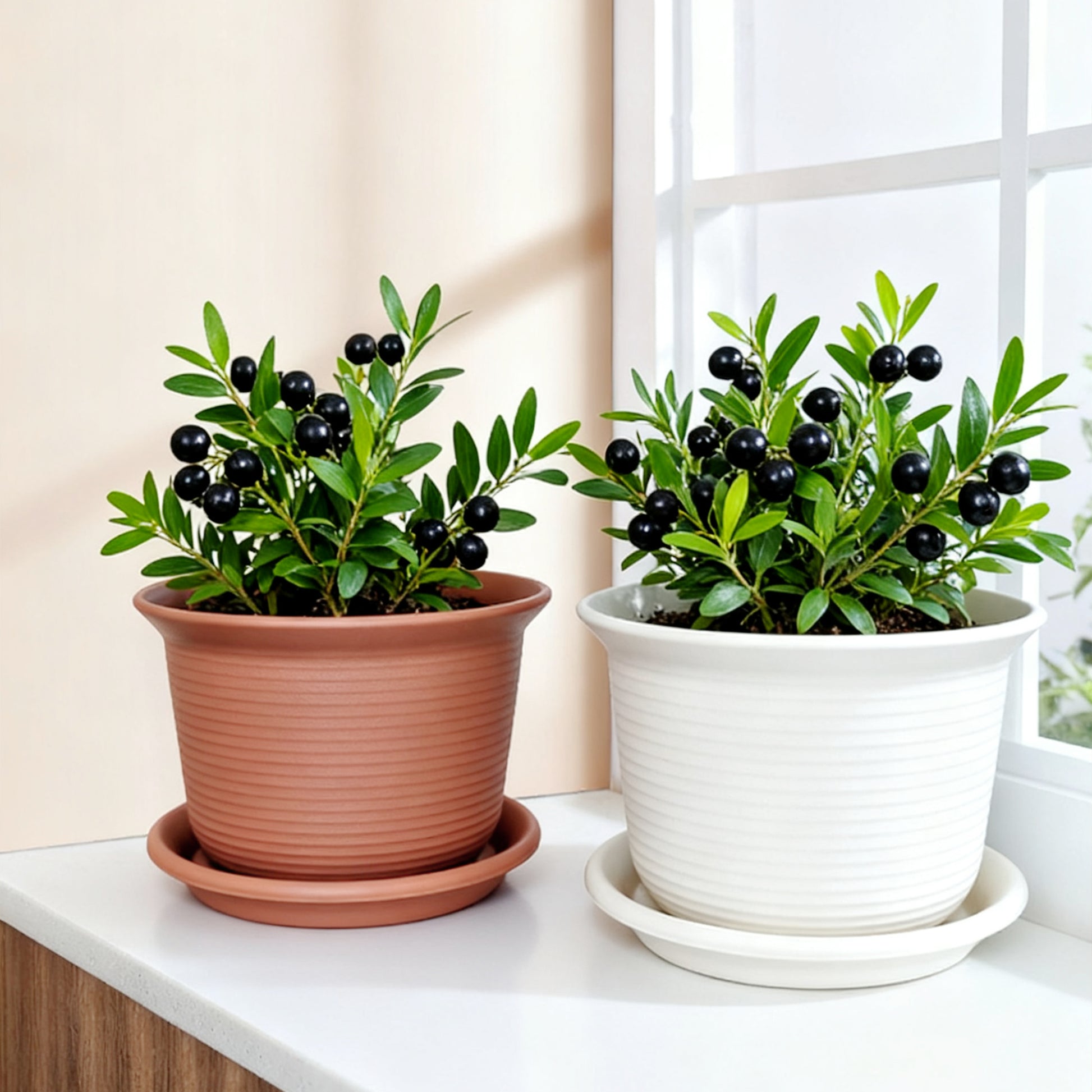Textured Resin Planter with Saucer